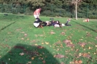 09 Wapenstilstand (03)