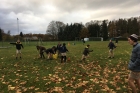 20161119_Christus Koning (9)