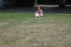 Algemeen 2015 (064)