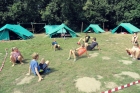 Algemeen 2015 (068)