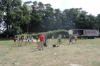 Algemeen 2015 (081)
