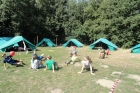 Algemeen 2015 (110)