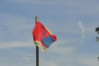 Algemeen 2015 (150)