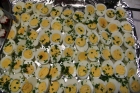 Kookploeg (110)